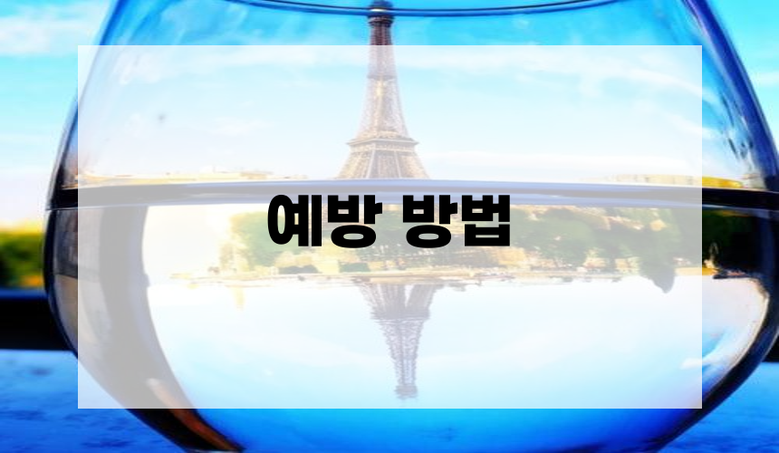 예방 방법