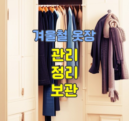  겨울철 옷장 관리의 모든 것! 옷 관리 정리 보관 방법 총정리