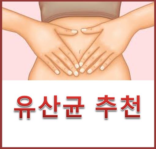  유산균 추천 3가지