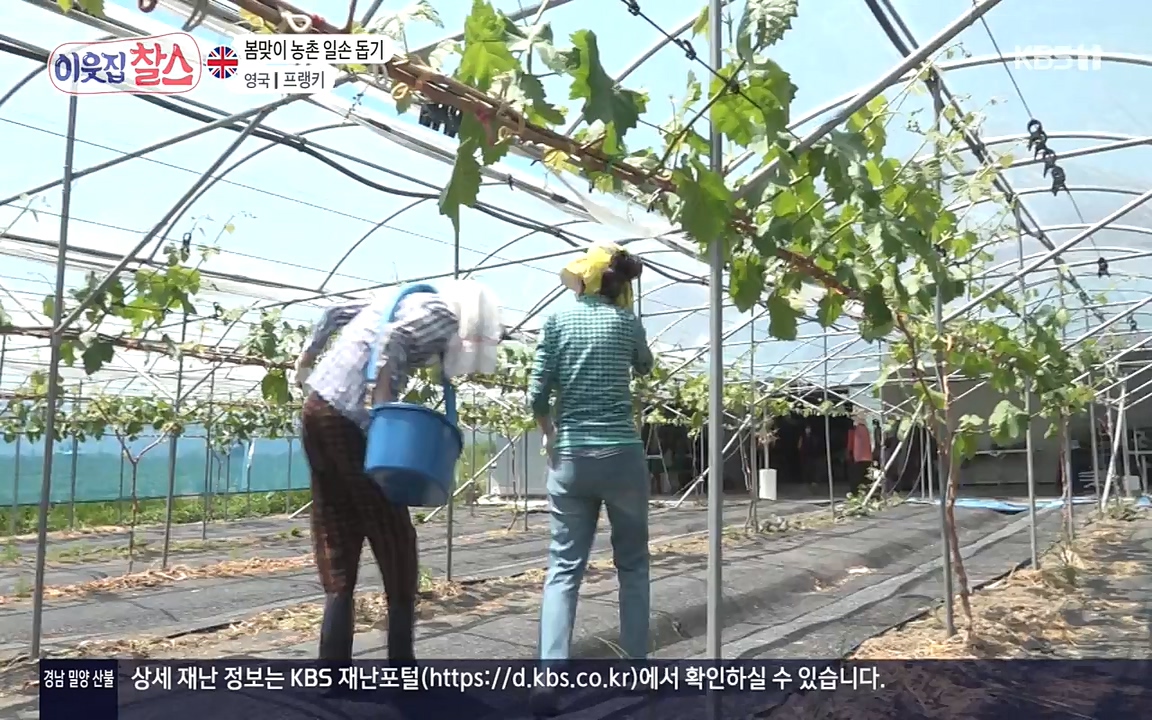 이웃집 찰스.E340.220532p-NEXT.mp4_20220601_175921.932.jpg