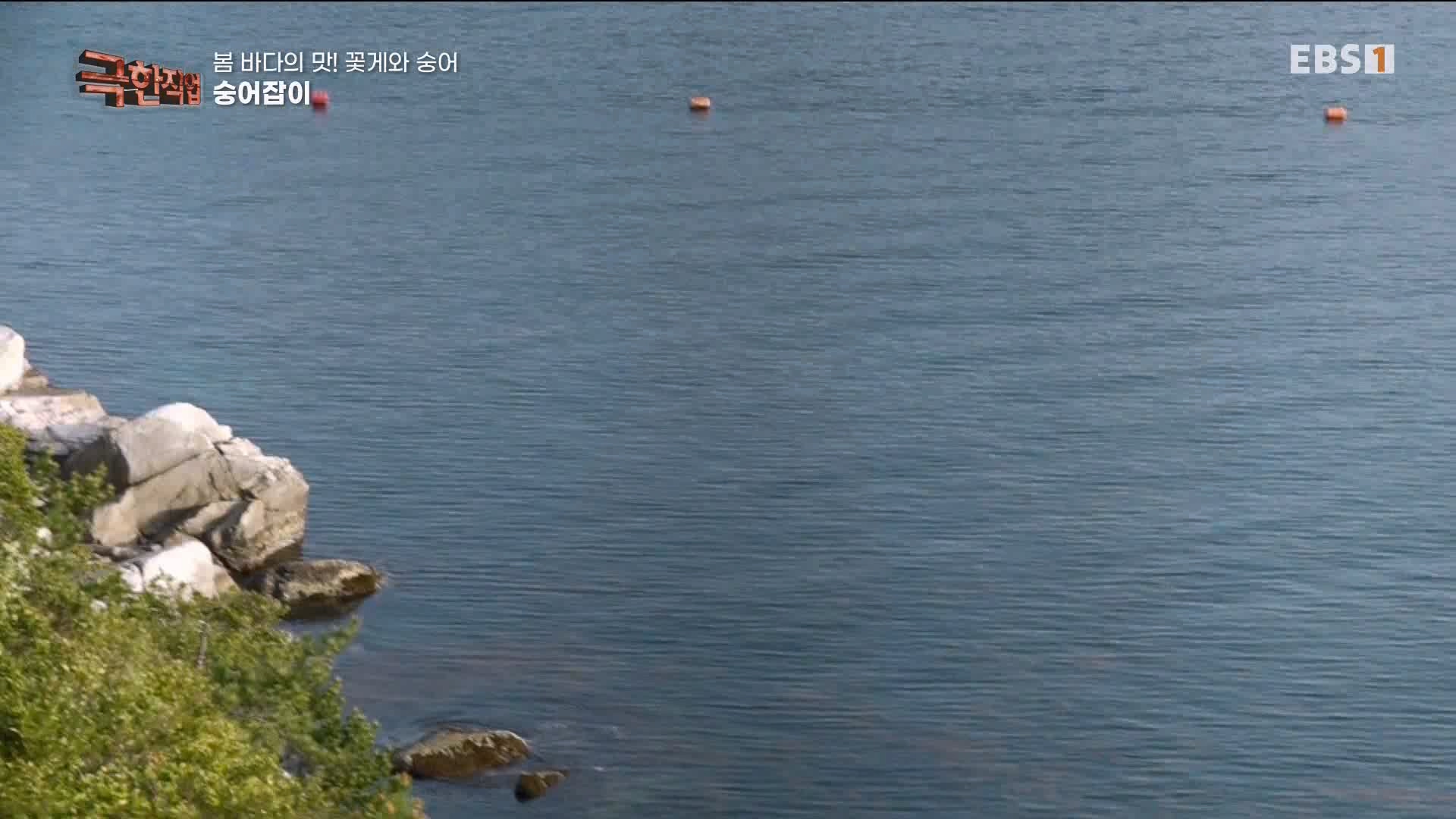 극한 직업 꽃게와 숭어 1080p.mp4_20230530_194649.688.jpg