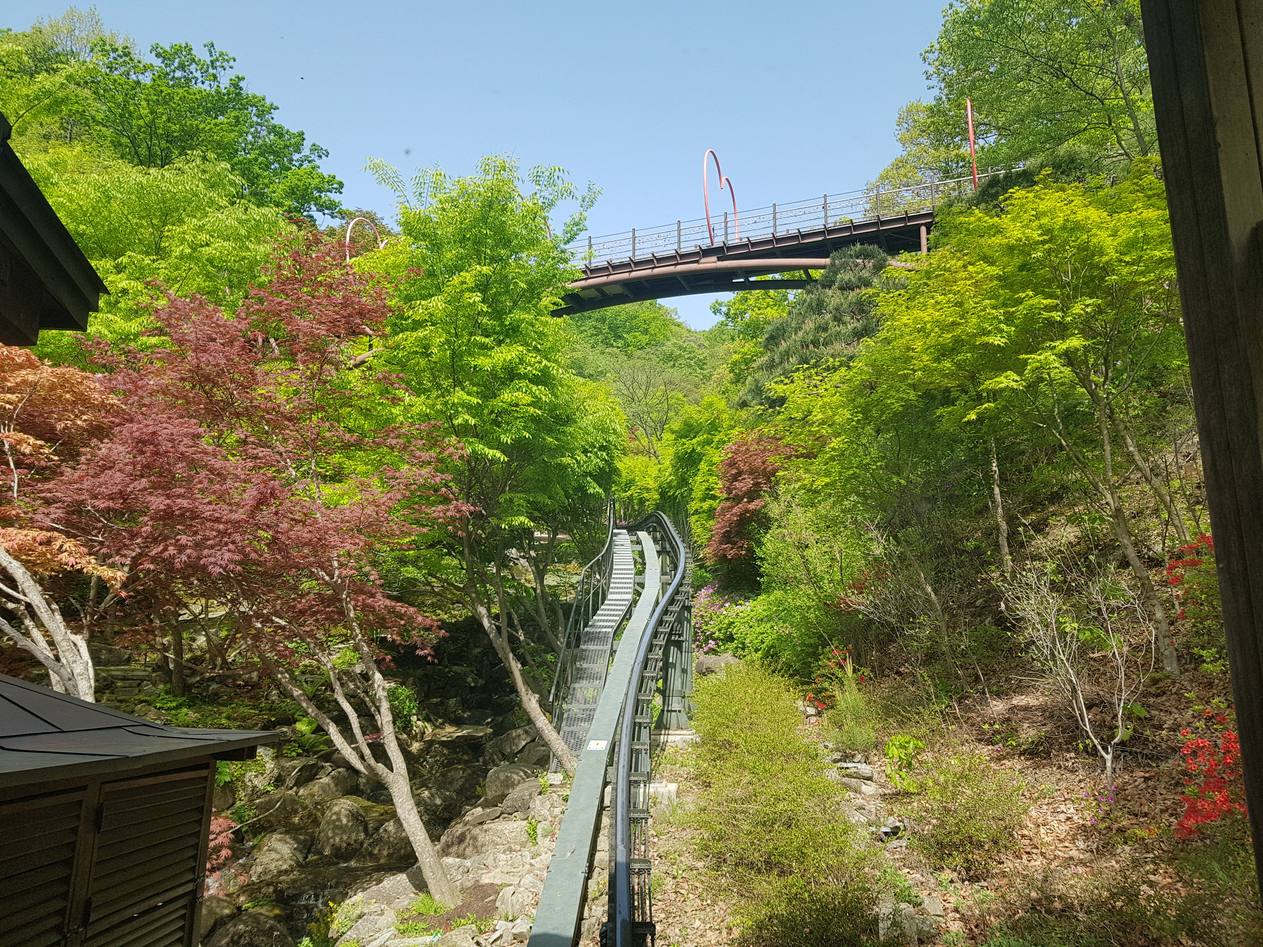  화담숲 모노레일 이모저모! 화담숲 모노레일 예약, 예매 방법 및 탑승장소, 운행정보 알아보기