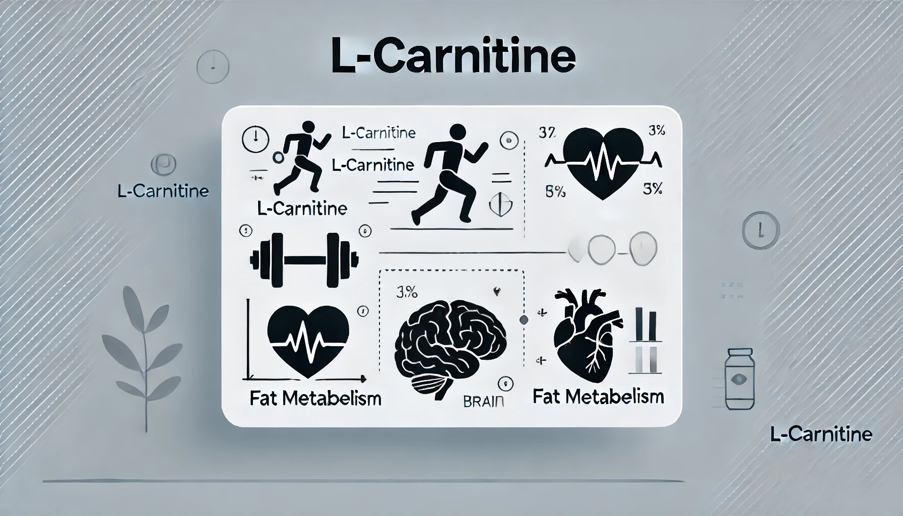 l-carnitine-L-카르니틴-체중-감량-건강-위한-필수-영양소-비타민-영양제-추천-주요-기능-지방-운동-심혈관-체중-감량-인지기능-주의사항-권장-섭취량-복용시기-보충제-제품추천-결론