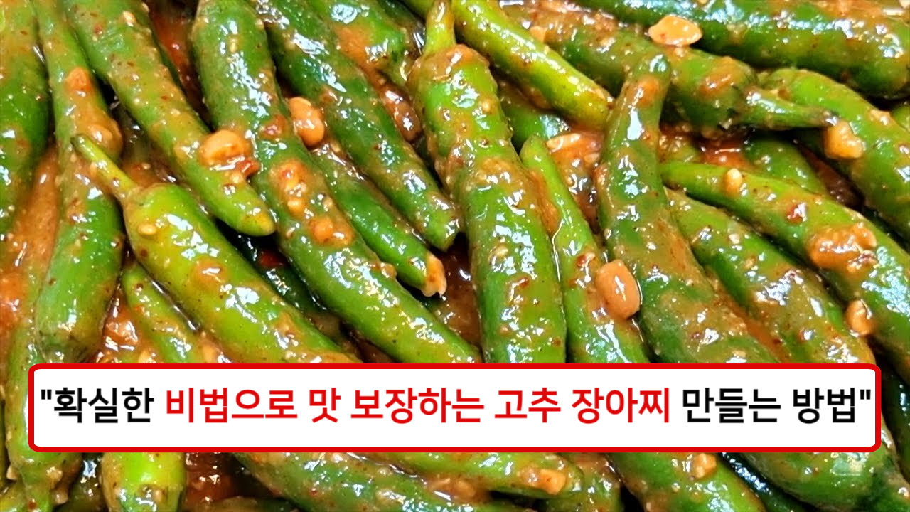 “밥과 함께 먹을 때 정말 맛있는 된장 고추장아찌” 매콤하면서도 짭조름한 맛이 일품!