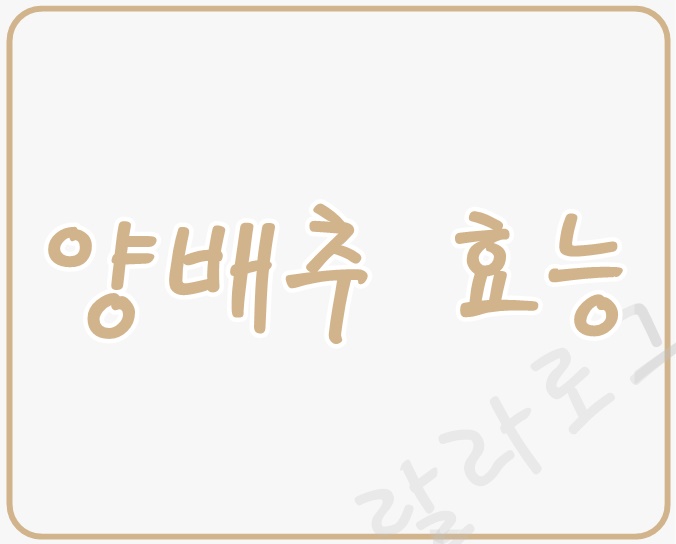양배추-효능