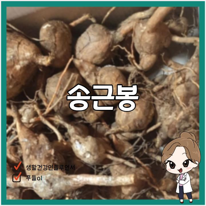송근봉