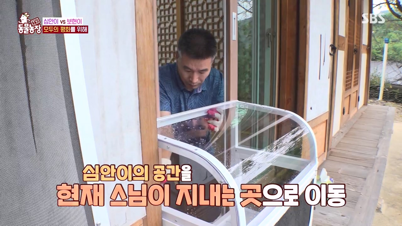 TV 동물농장.E1143.231030p-NEXT.mp4_20231029_164055.551.jpg