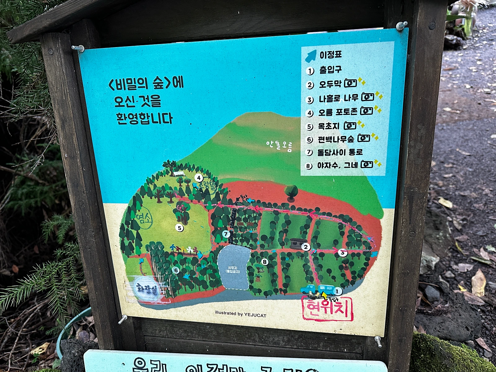 제주 구좌 비밀의숲