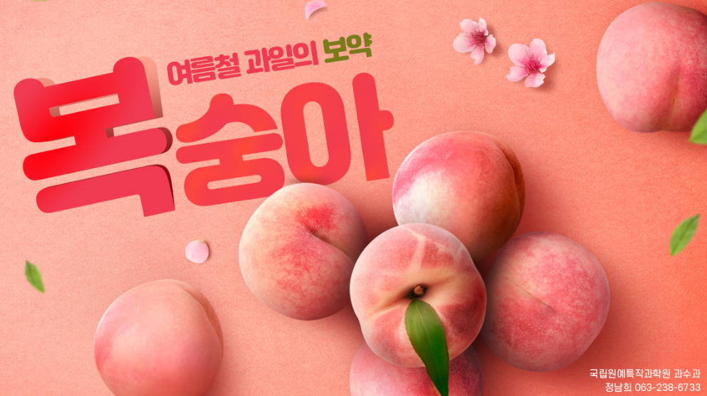  복숭아