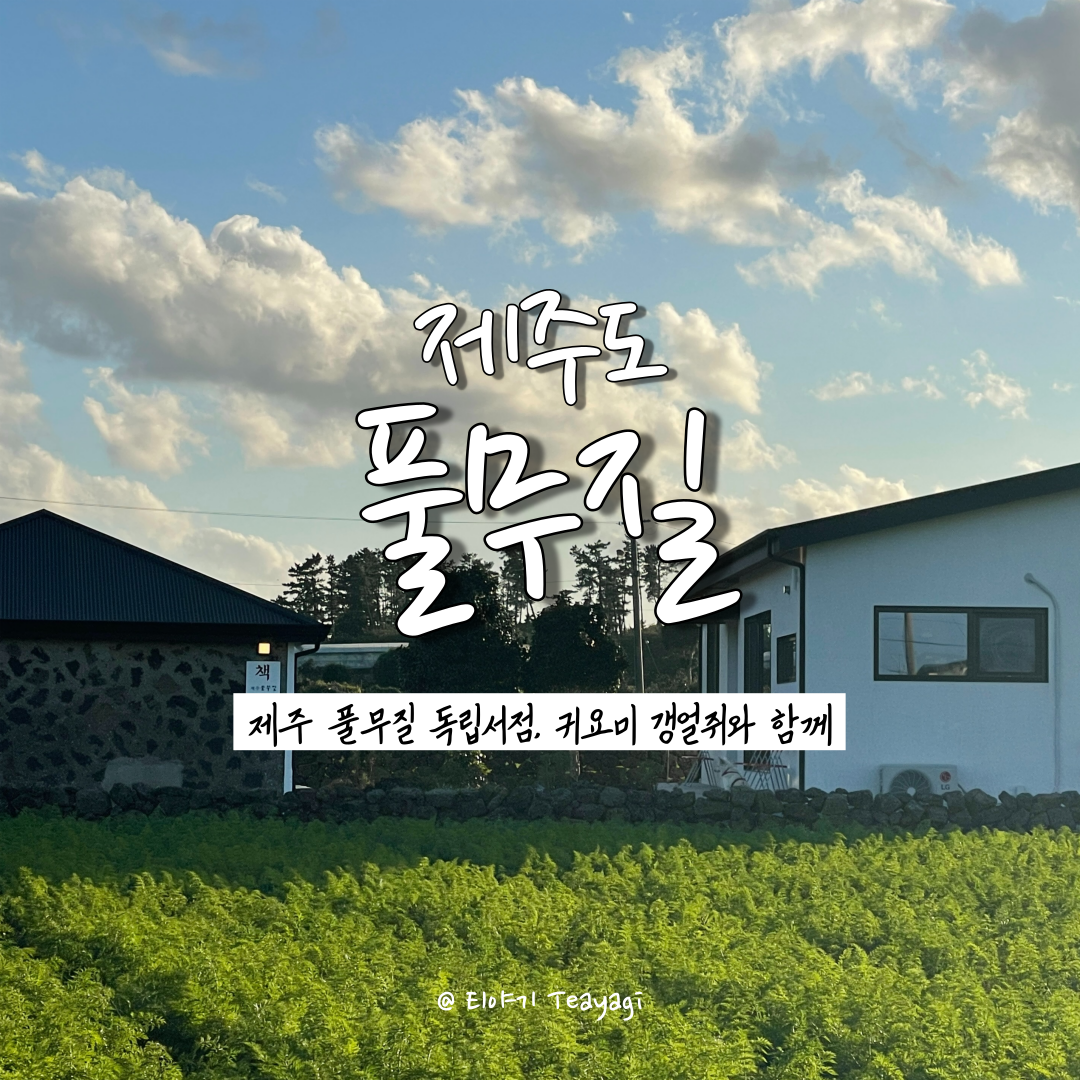  제주 Jeju | 제주도 여행 시 꼭 다녀와야 하는 세화리 독립서점, 제주 풀무질 (feat. 제주 가볼만한곳)