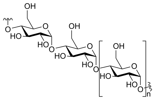 아밀로스 amylose