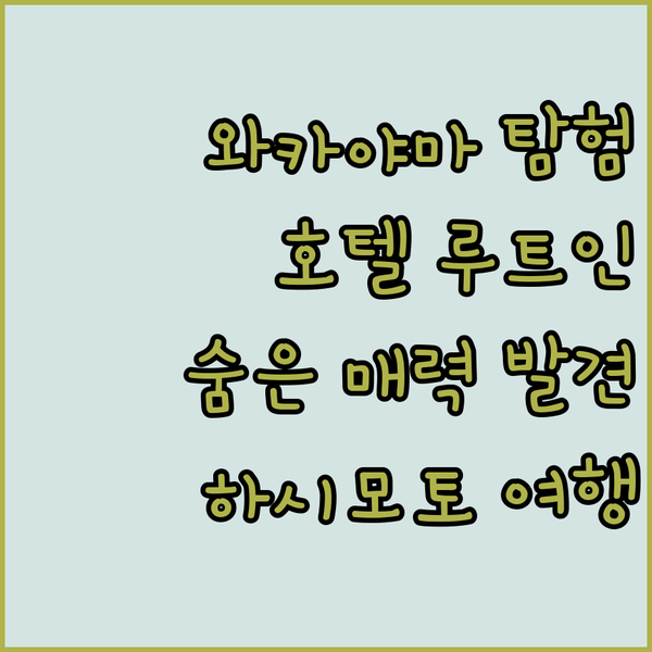 호텔 루트 인 하시모토.. 와카야마 