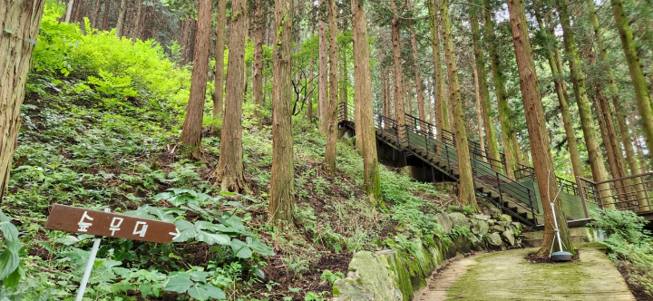 무등산 편백자연휴양림(화순) 산책로 숲무대