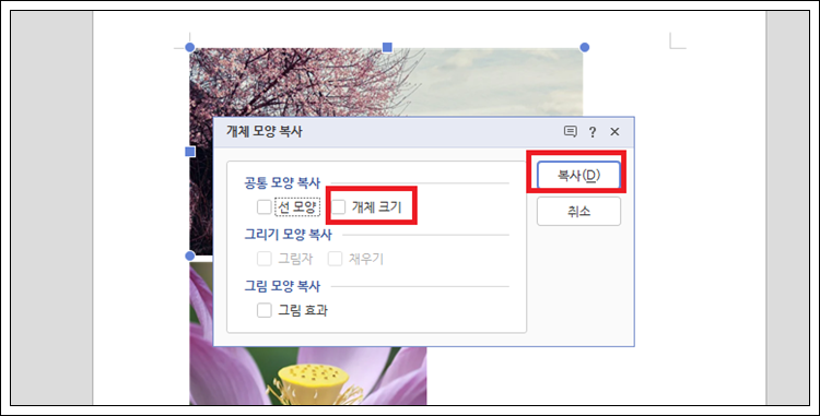 한글 이미지 사진 크기 동일하게 설정