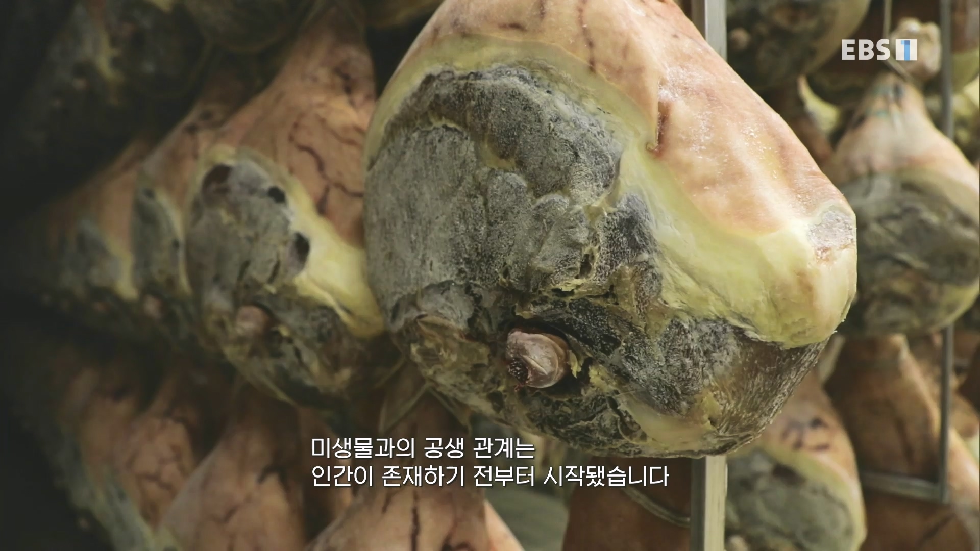 EBS 다큐프라임.201208.요리의 과학 - 4부 맛0p.mp4_20240413_162615.813.jpg