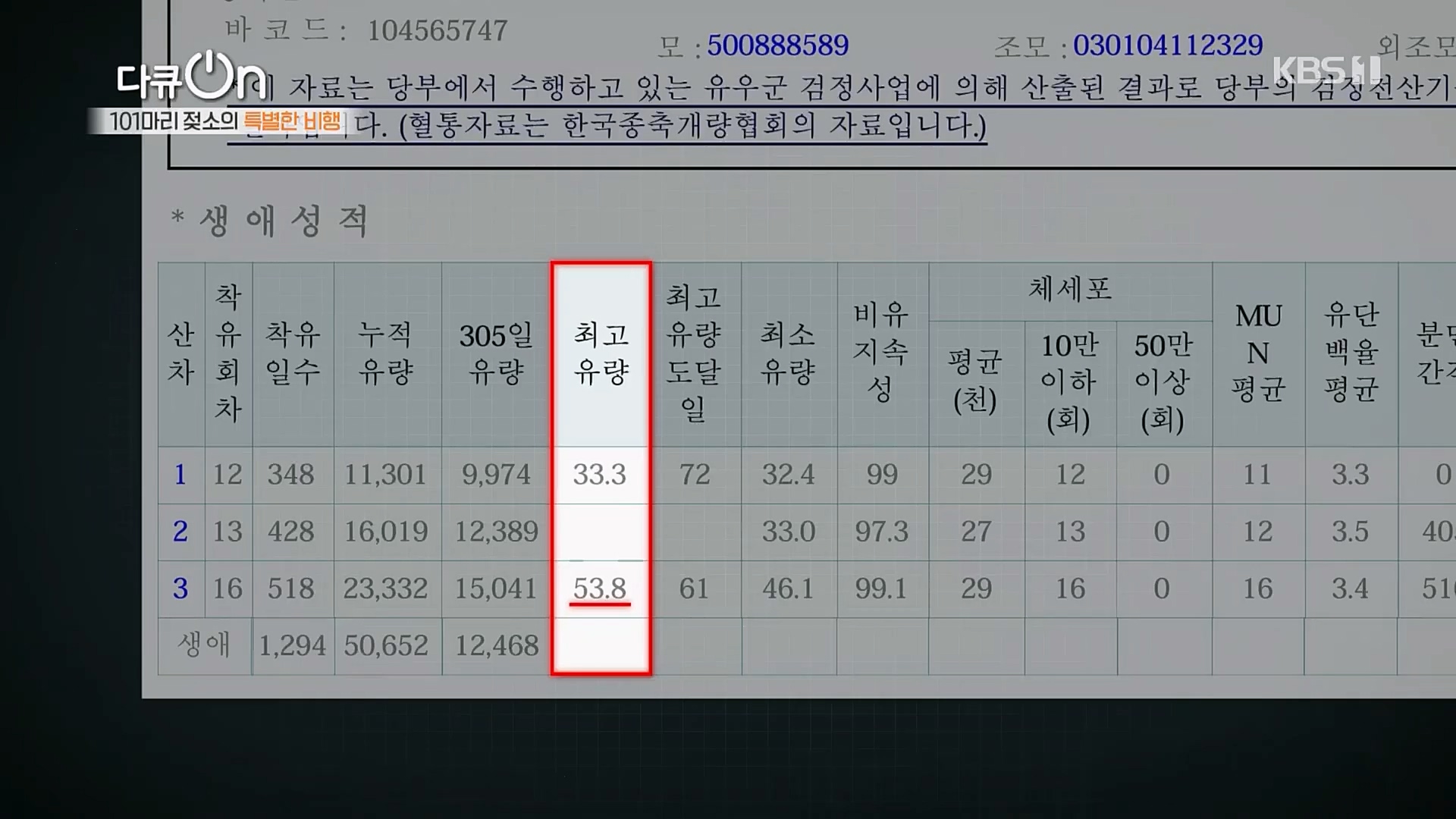 다큐 On.E184.230203p.H264-F1RST.mp4_20230211_175646.194.jpg