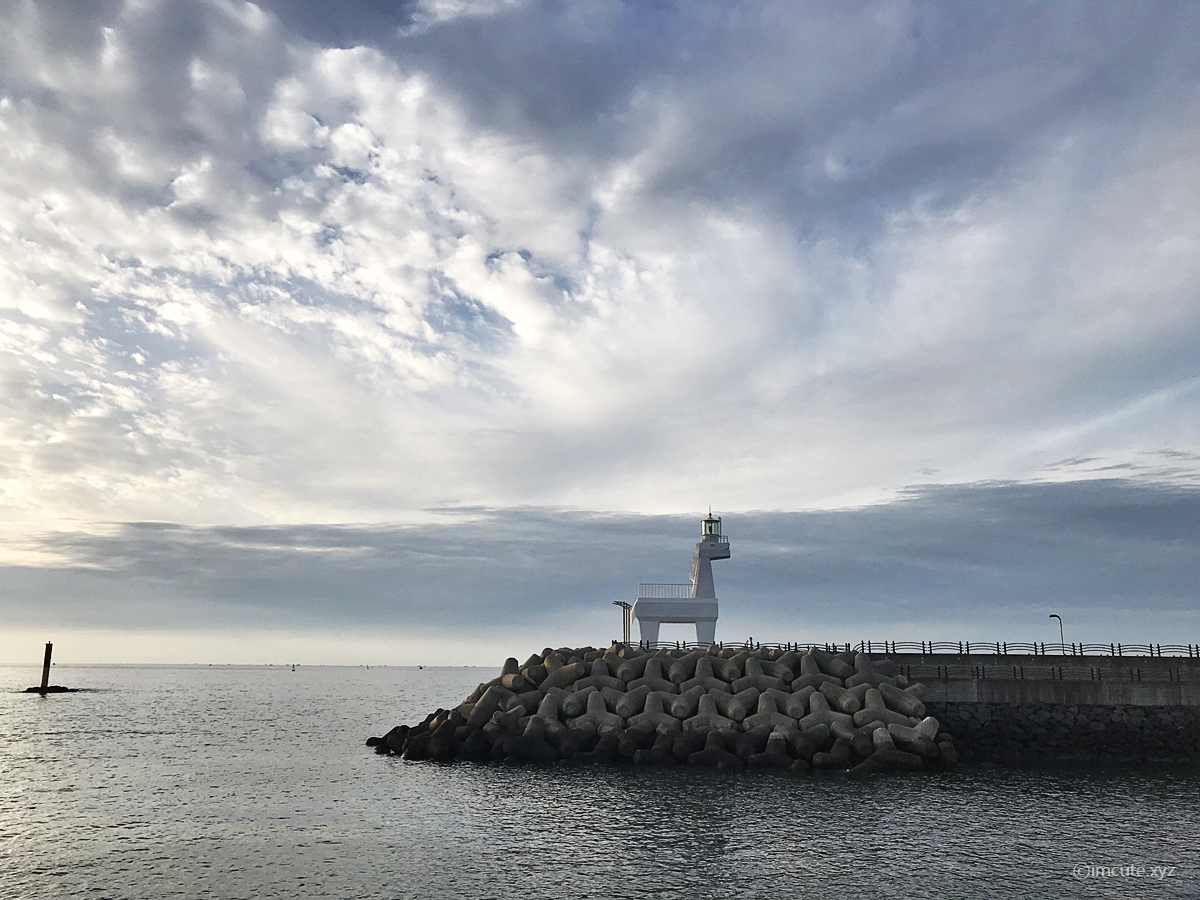  제주도 이호테우해변 말등대 보고 고양이도 보고