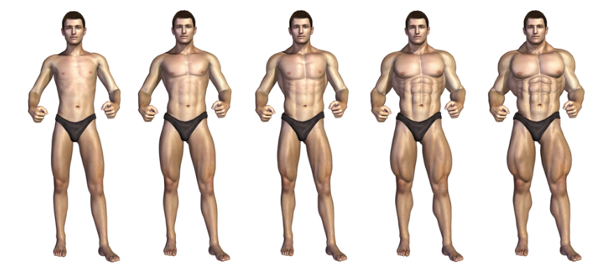 근비대(Hypertrophy)에 대한 과학적 개념과 논리적 설명