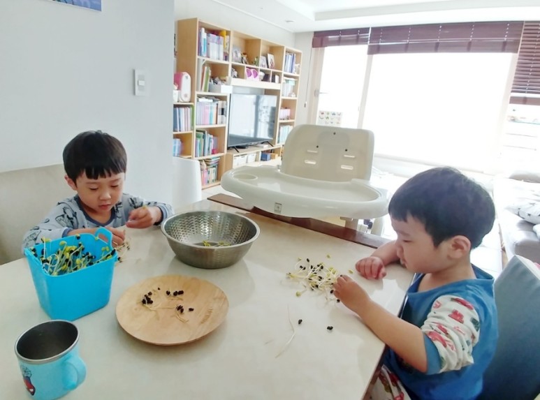 이게 뭐가 그렇게 행복해요? 아이와 함께 콩나물 키우기 10
