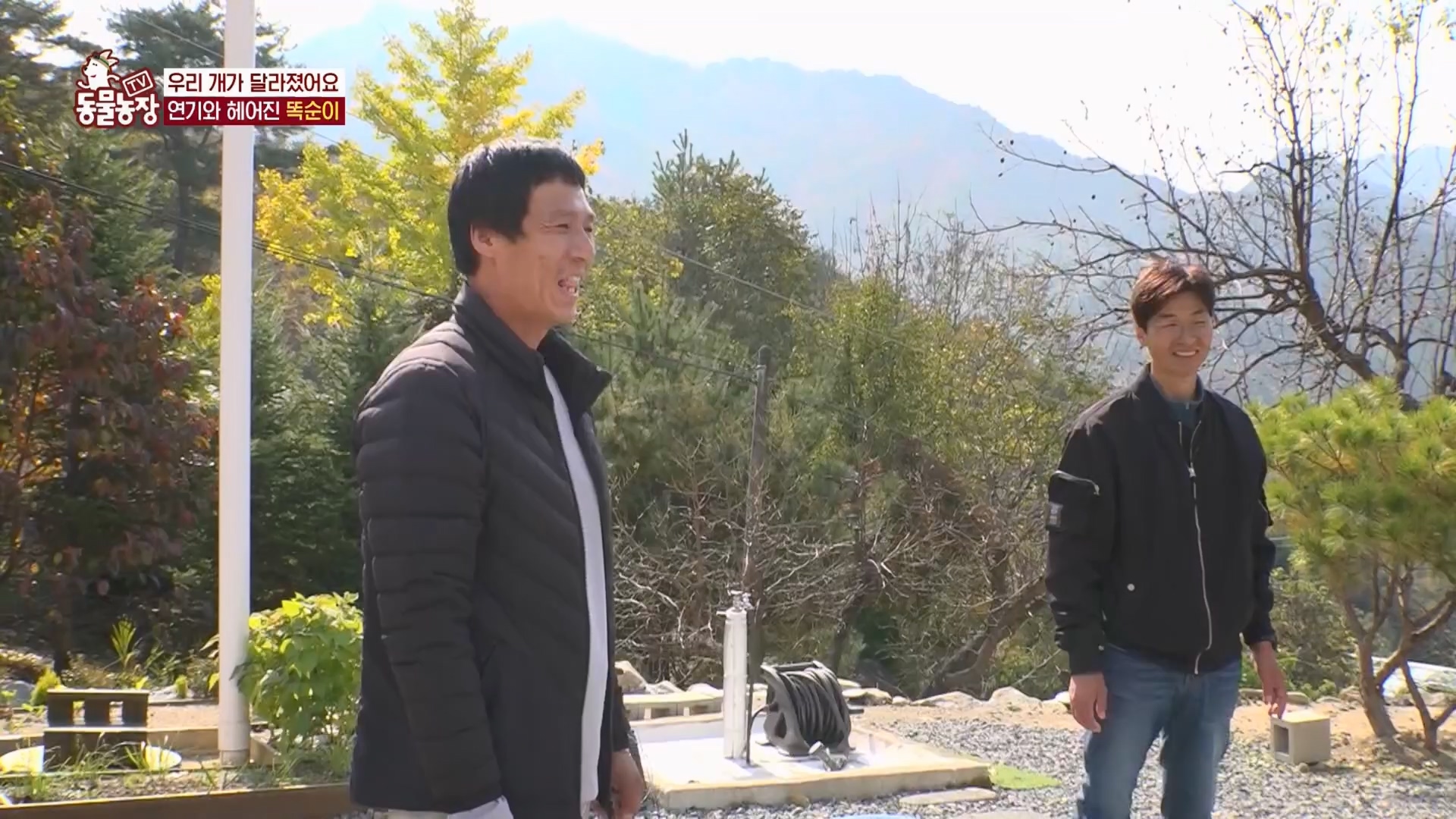 TV 동물농장.E1148.231203p.H264-F1RST.mp4_20231203_181433.585.jpg