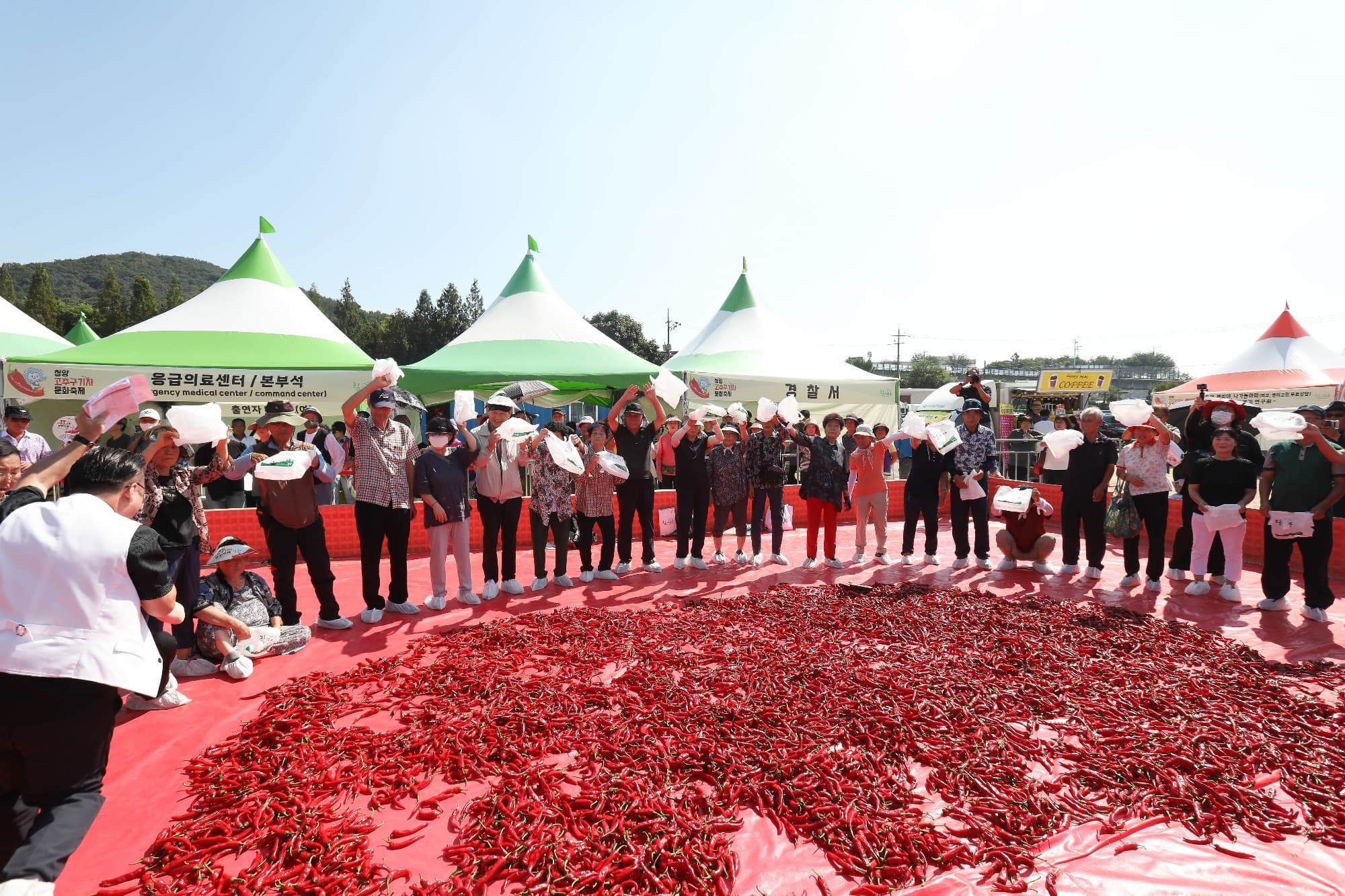 청양고추구기자 문화 축제