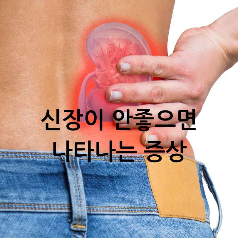 신장에좋은영양제