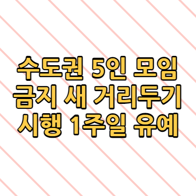  수도권 5인 모임 금지 새 거리두기 시행 1주일 유예