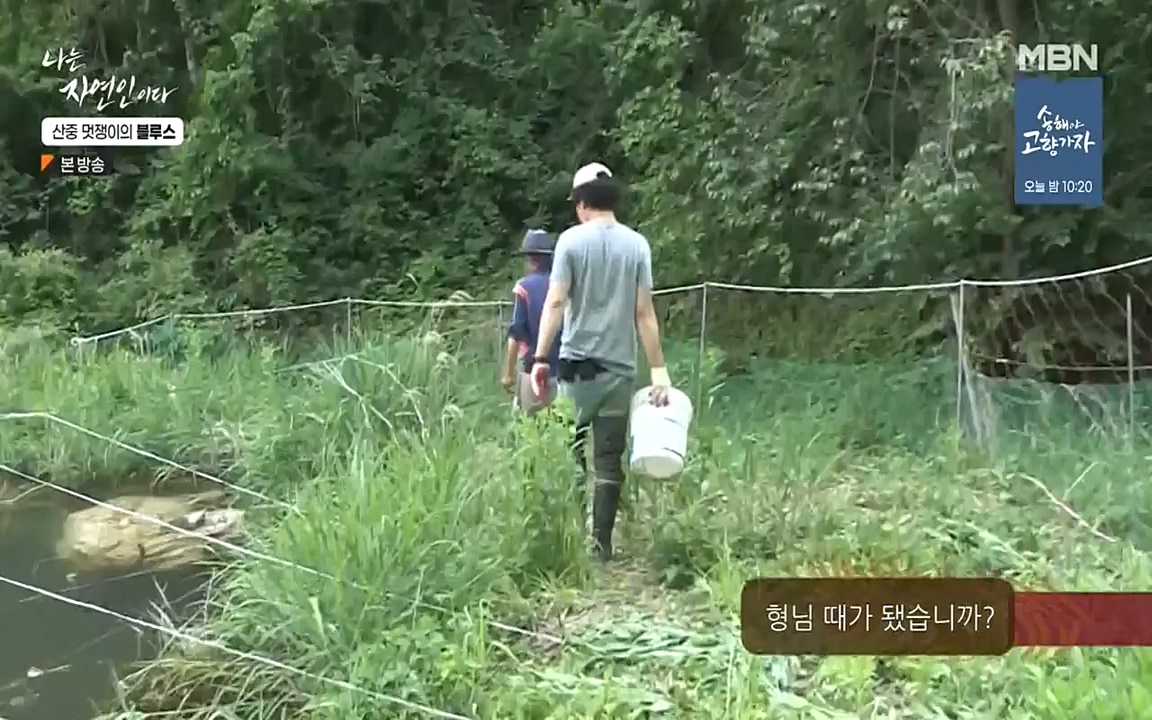 나는 자연인이다.E505.220609p-NEXT.mp4_20220609_200156.121.jpg