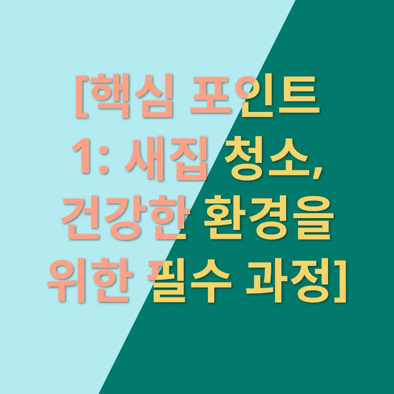 새집 청소_1