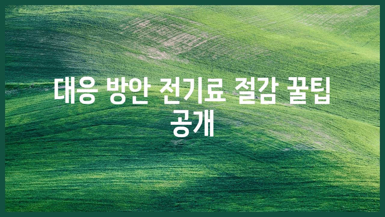 대응 방안, 전기료 절감 꿀팁 공개
