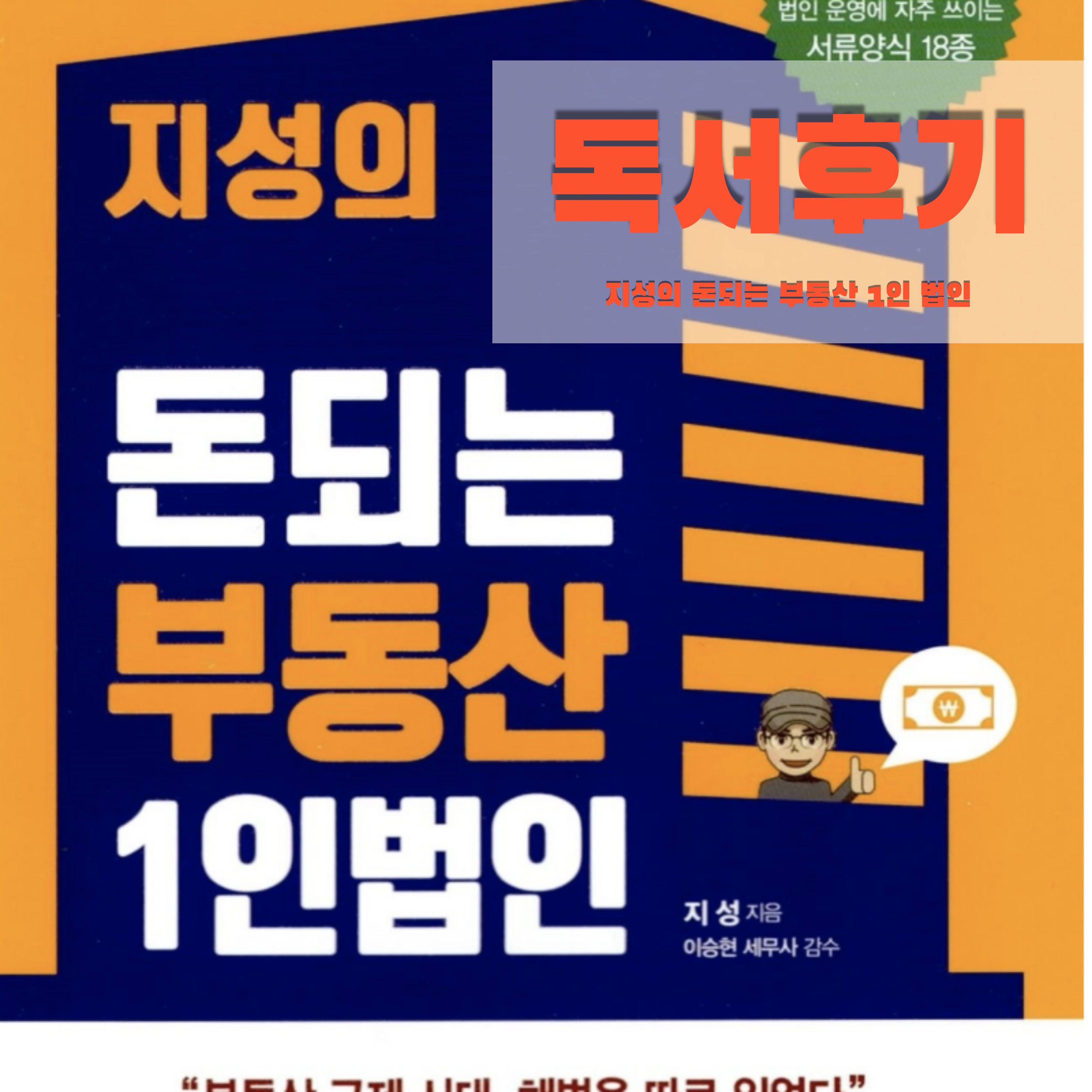  독서후기 지성의 돈되는 부동산 1인 법인
