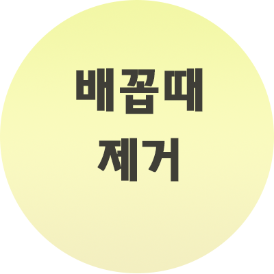  배꼽때 제거 올바른 방법으로 진행하세요.