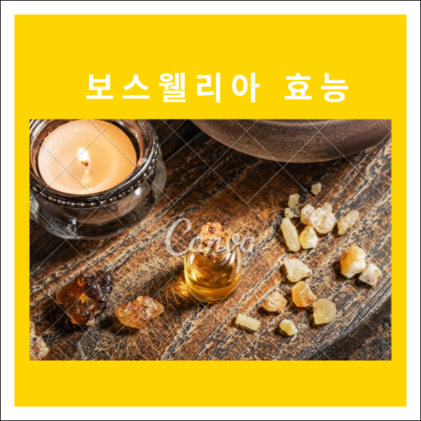  보스웰리아 효능 좋은점