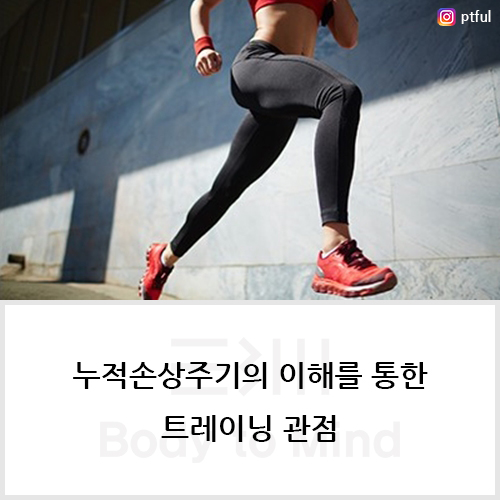  누적손상주기(cumulative injury cycle)의 이해를 통한 트레이닝 관점