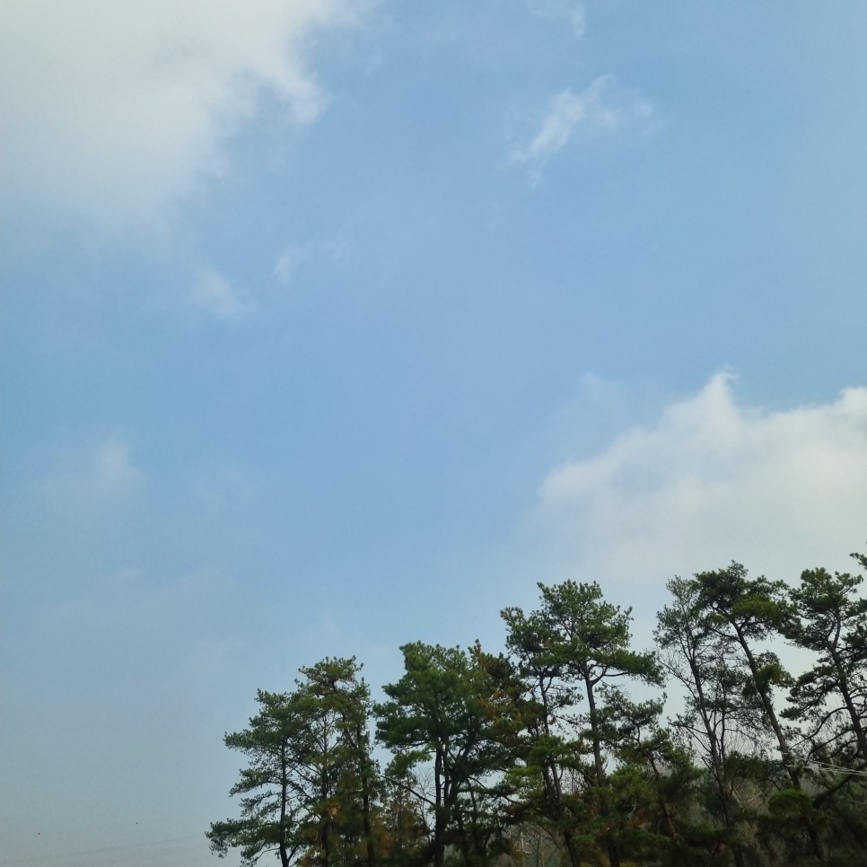 무릎관절영양제 11
