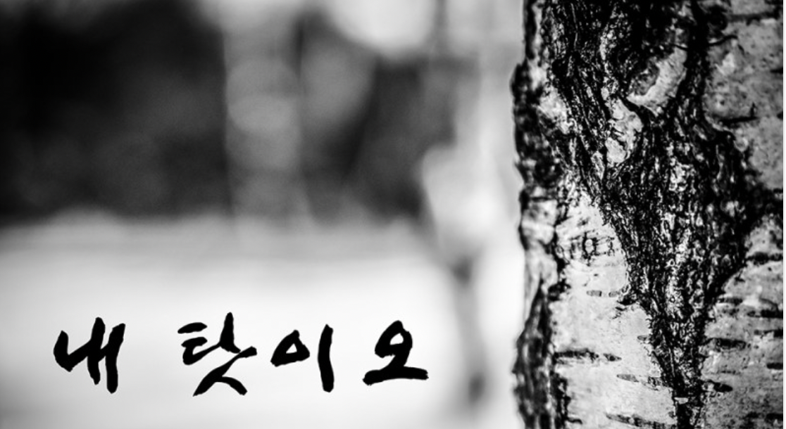  남 탓을 하는 사람들에게