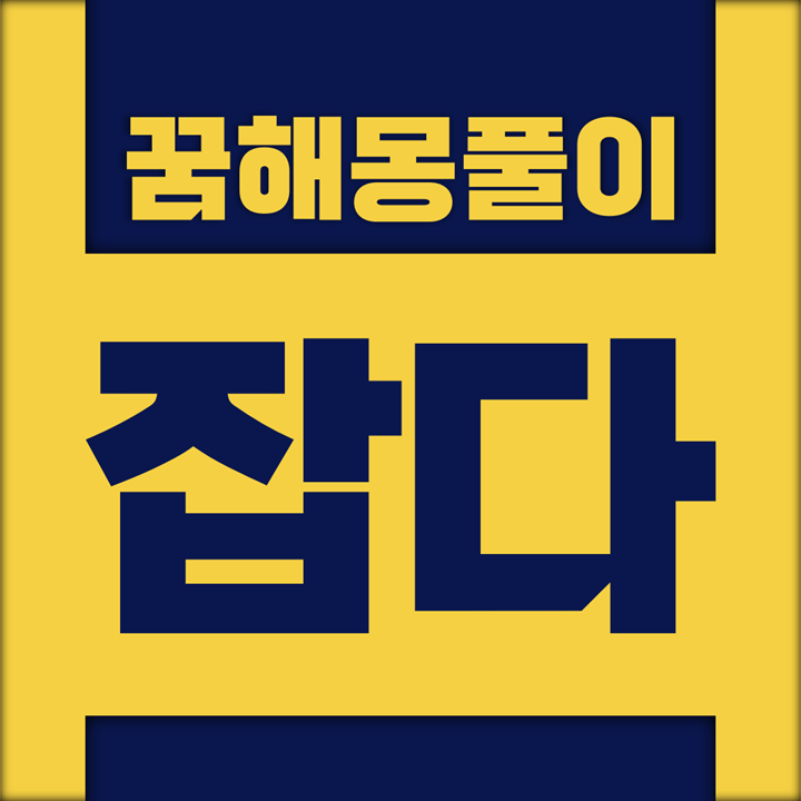  [꿈해몽풀이] 잡다, 놓다 꿈해몽 모음