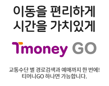 https://maas.tmoney.co.kr/