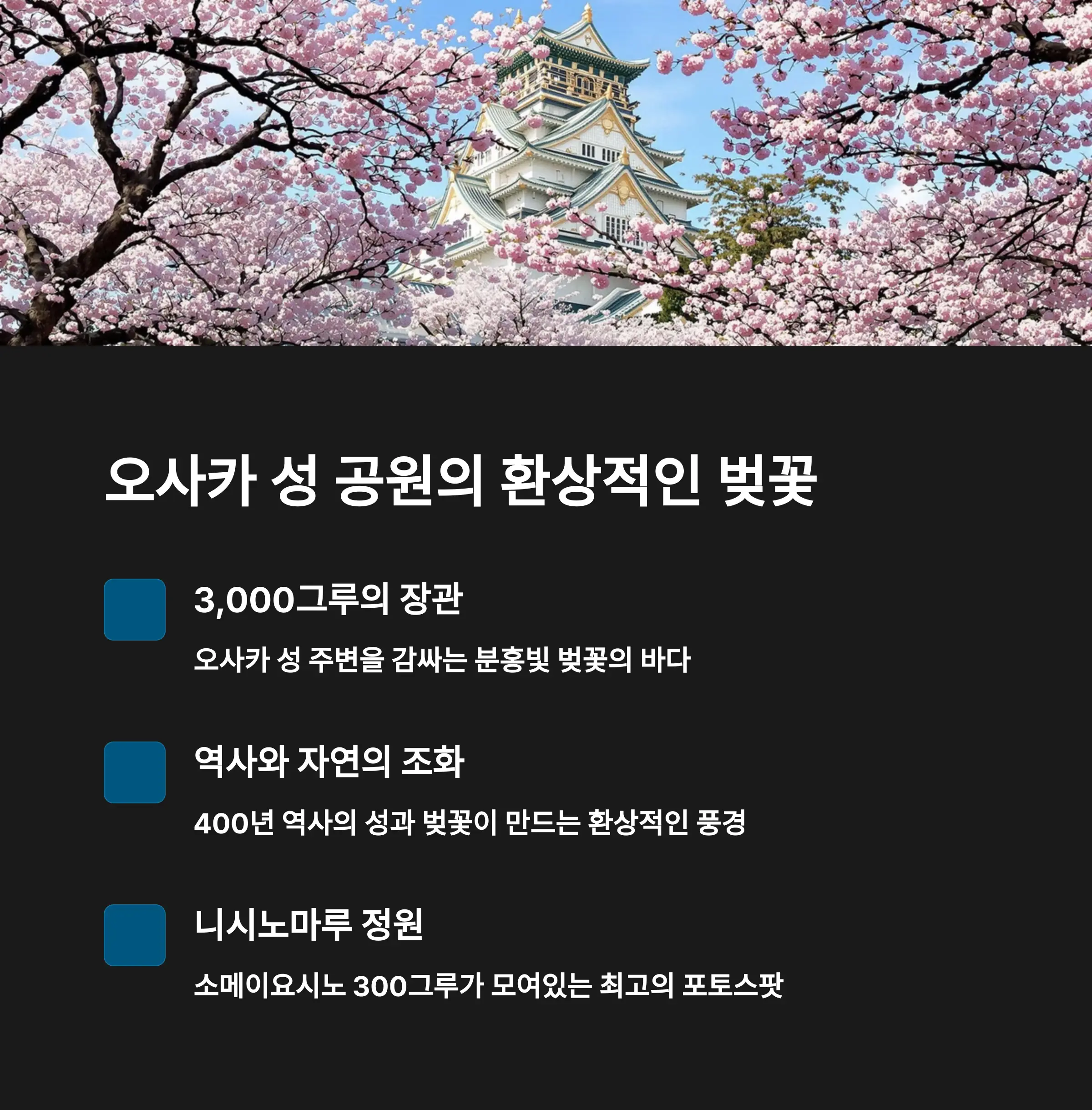 오사카 성 공원 - 역사와 벚꽃의 완벽한 조화