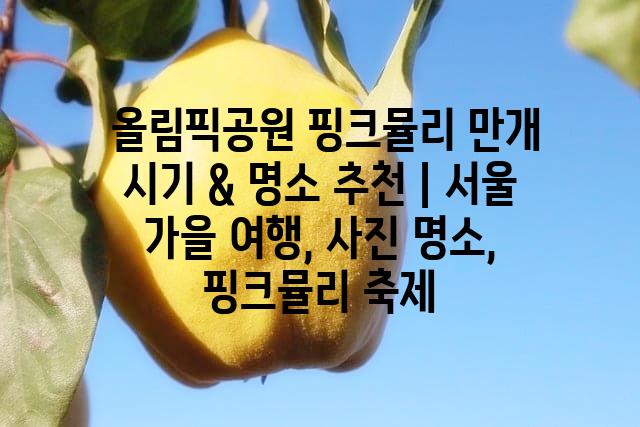 랜덤189