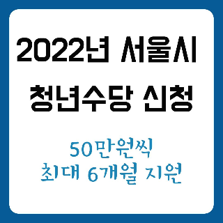 2022년 서울시 청년수당 신청 : 50만원씩 6개월 지원