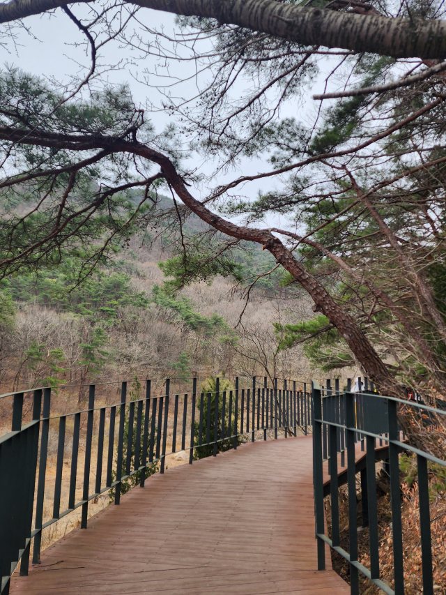용마루길_산책코스