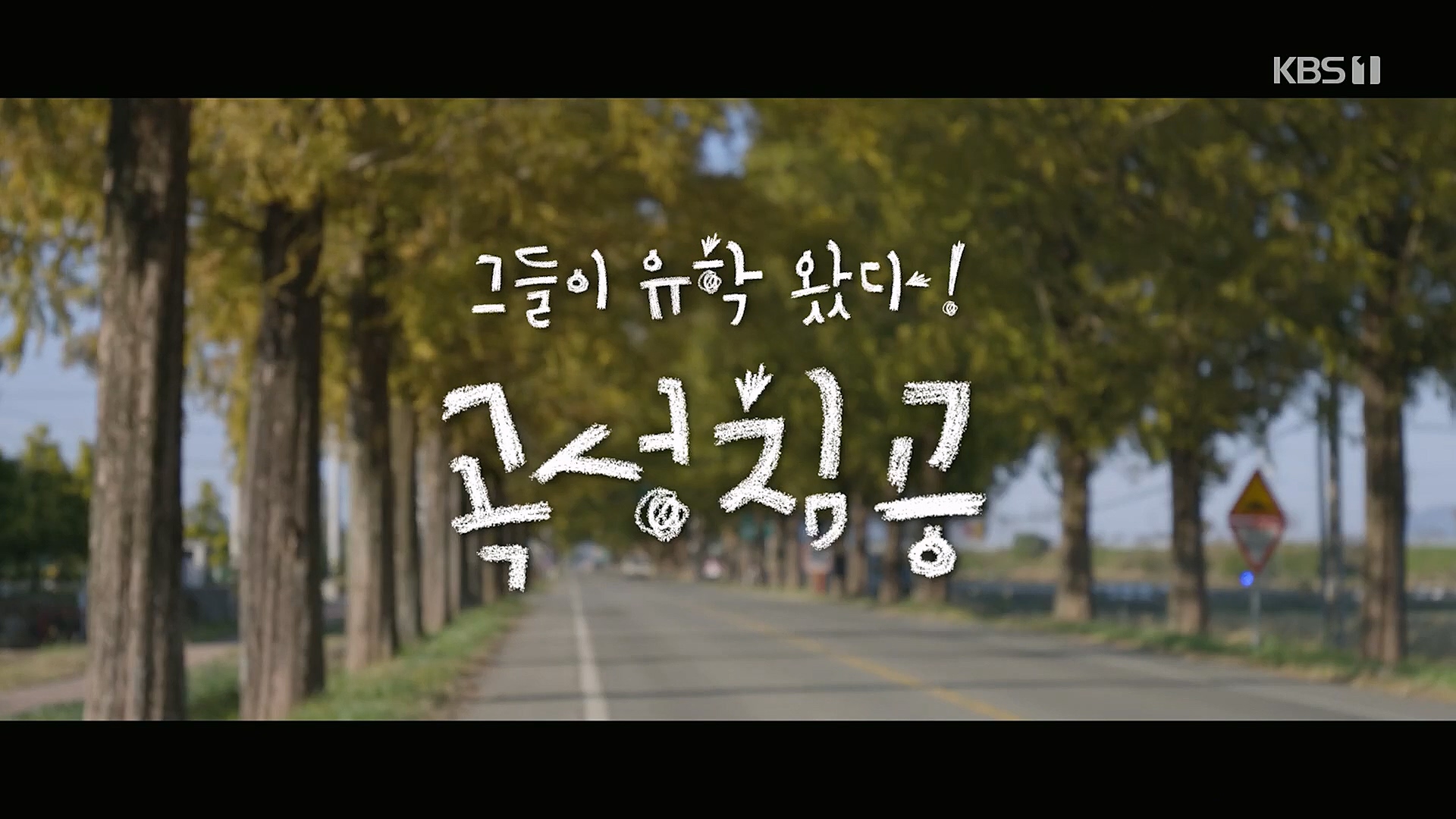 다큐 인사이트.E140.230202p.H264-F1RST.mp4_20230204_182237.484.jpg
