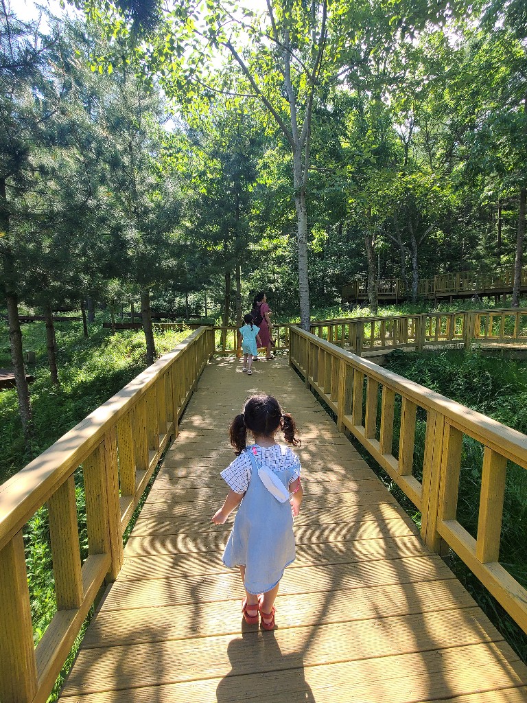국립횡성숲체원 어린이숲 놀이터로 이동하는 모습