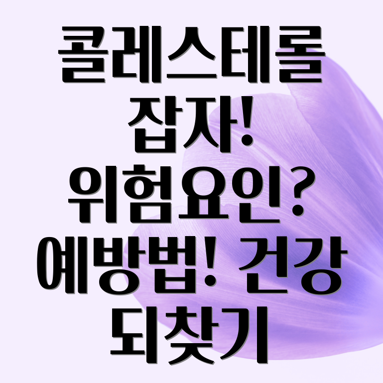 콜레스테롤 수치