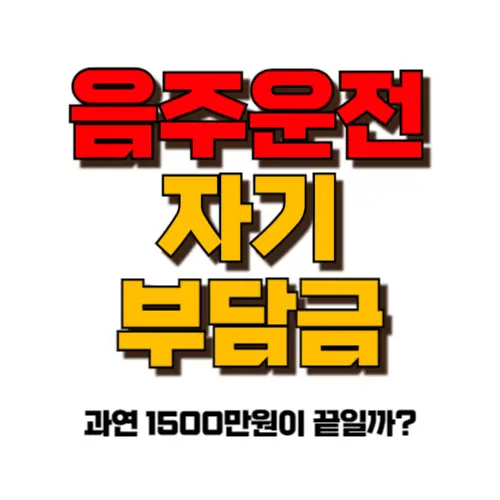 음주운전 자기부담금 썸네일