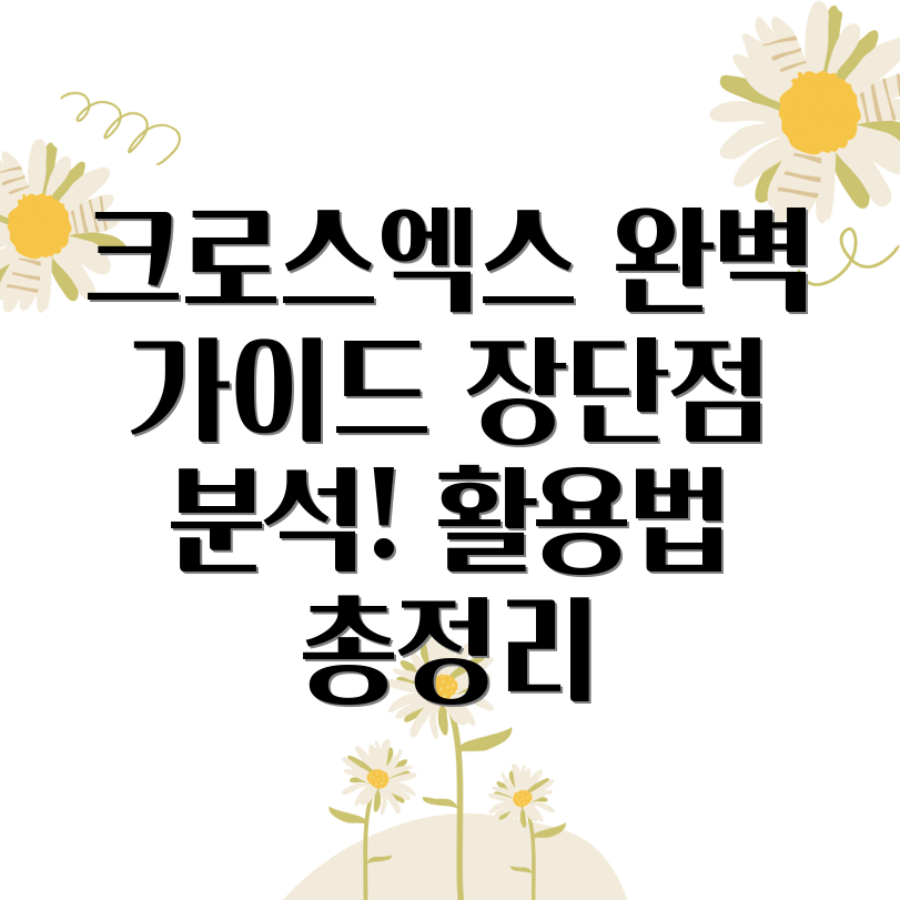 크로스엑스 서비스