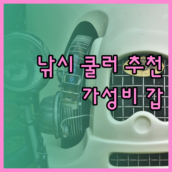 가성비 갑 낚시 쿨러 추천 꿀팁 대방