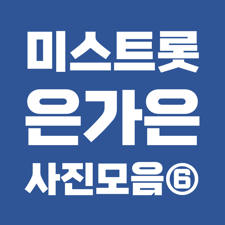  [사진모음 6/7] 미스트롯2 은가은 Eungaeun 성형 과거사진 (본명 : 김지은 / 1987년생 / 동주대학)