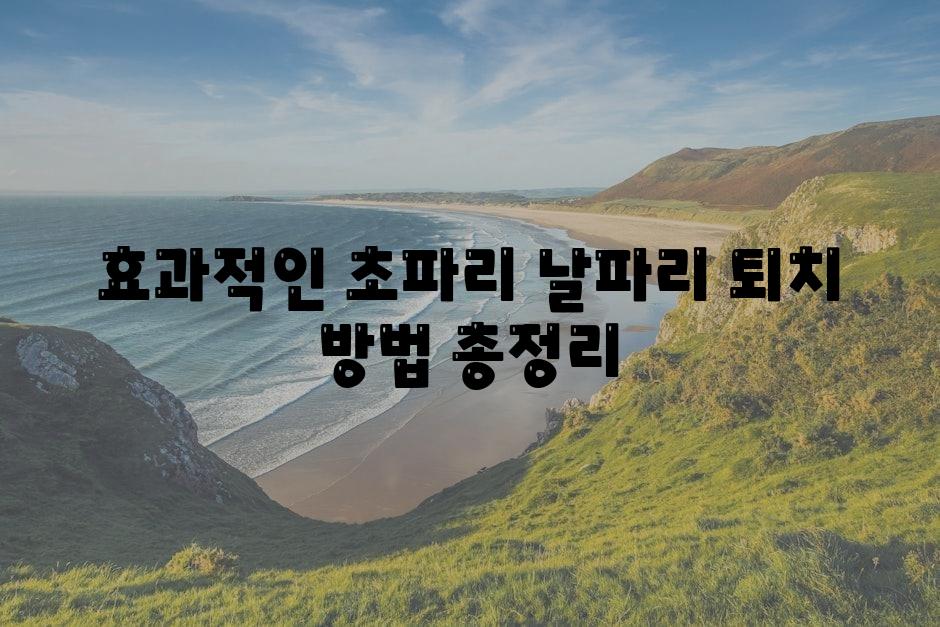 효과적인 초파리 날파리 퇴치 방법 총정리